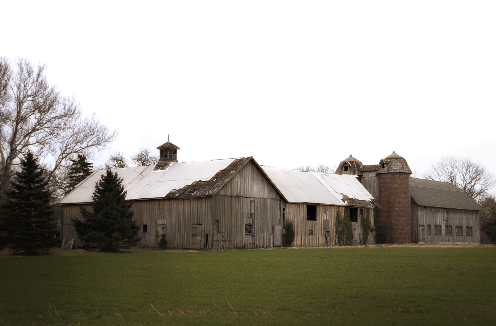 The Little Birds Are Urging Me What the Heart Sees.