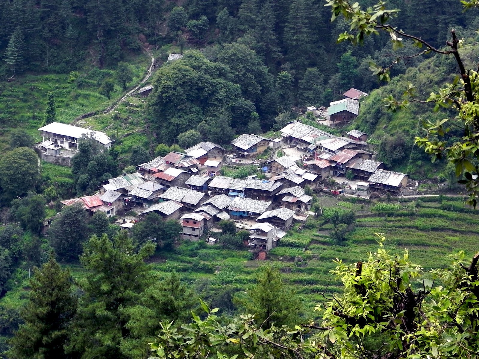Barot valley camping , trekking and adventure sports