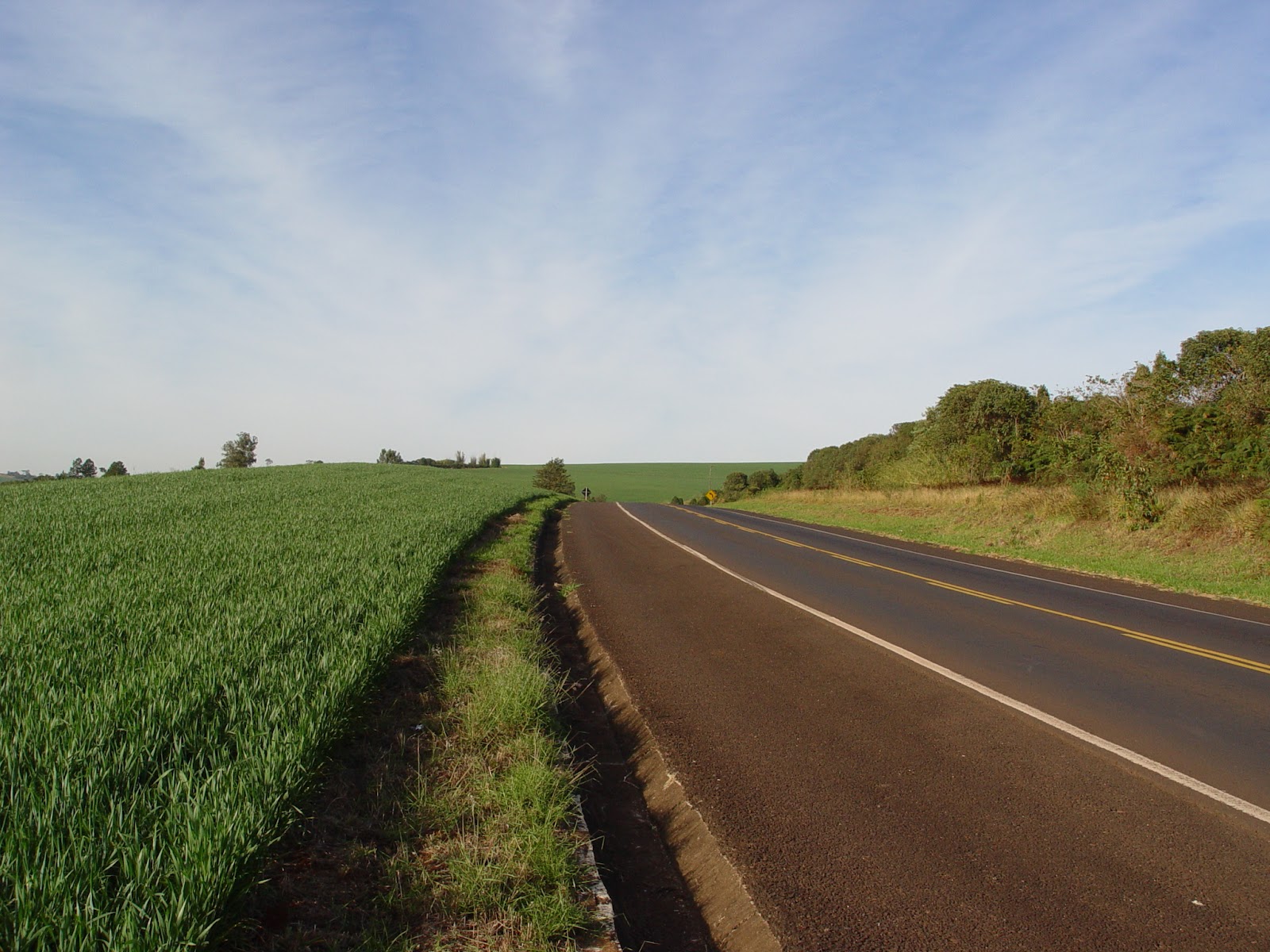 Wallpaper: Cute Nature Wallpapers