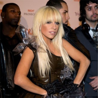 lady gaga meat dress lady gaga meat dress