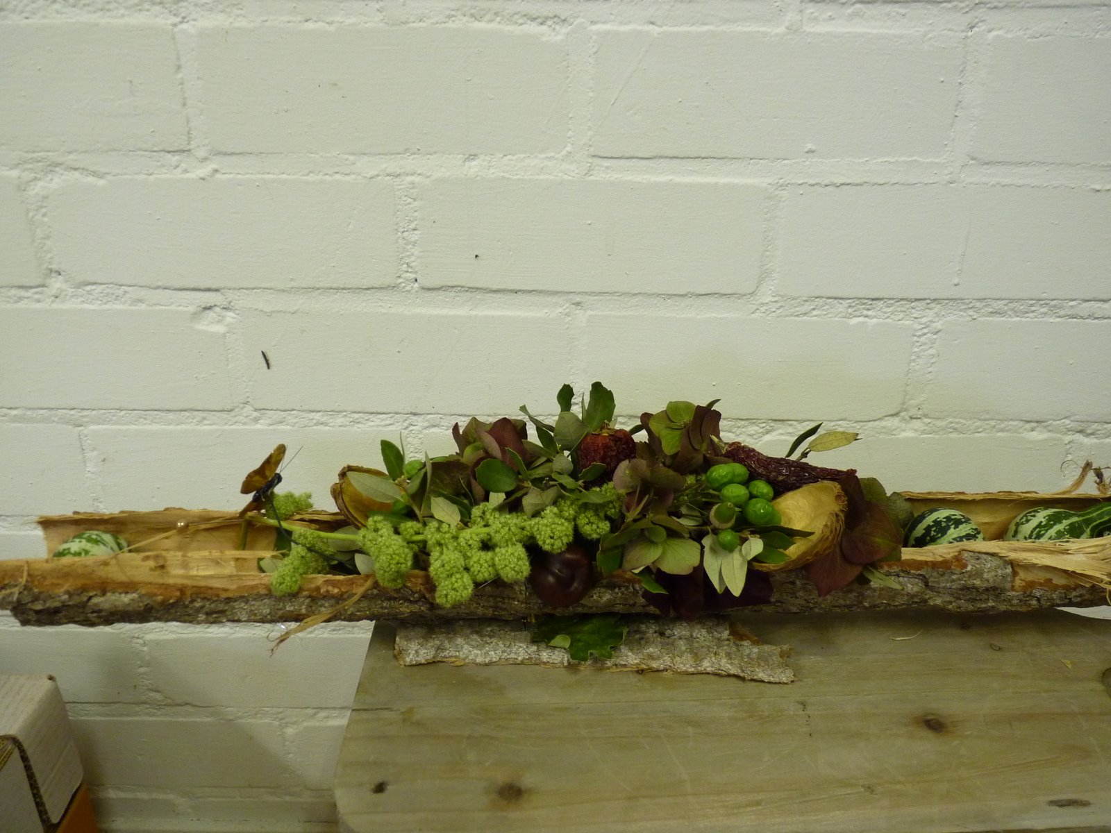 Natuurlijk groen en doen: november 2011