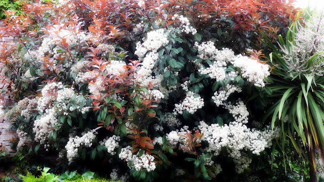 blog de arte cotidiano: octubre 2012