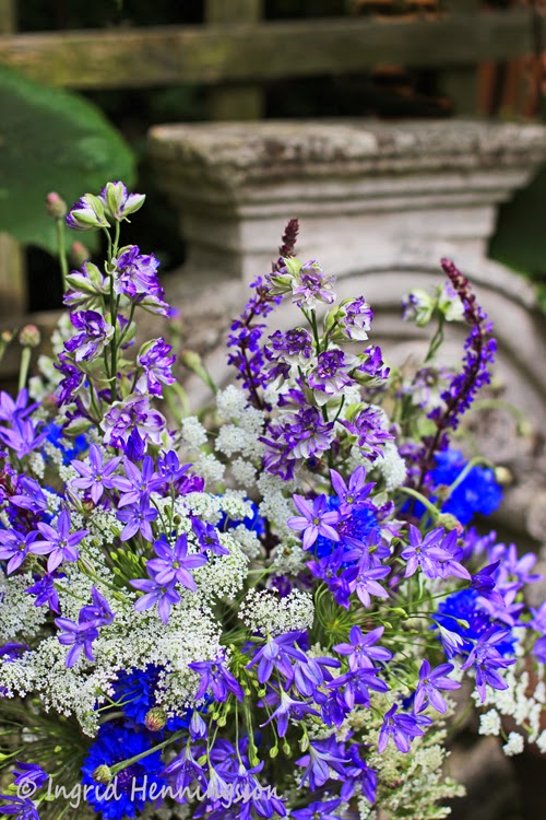 ...OF SPRING AND SUMMER... FLOWERS by ingrid and titti Midsummer Flowers