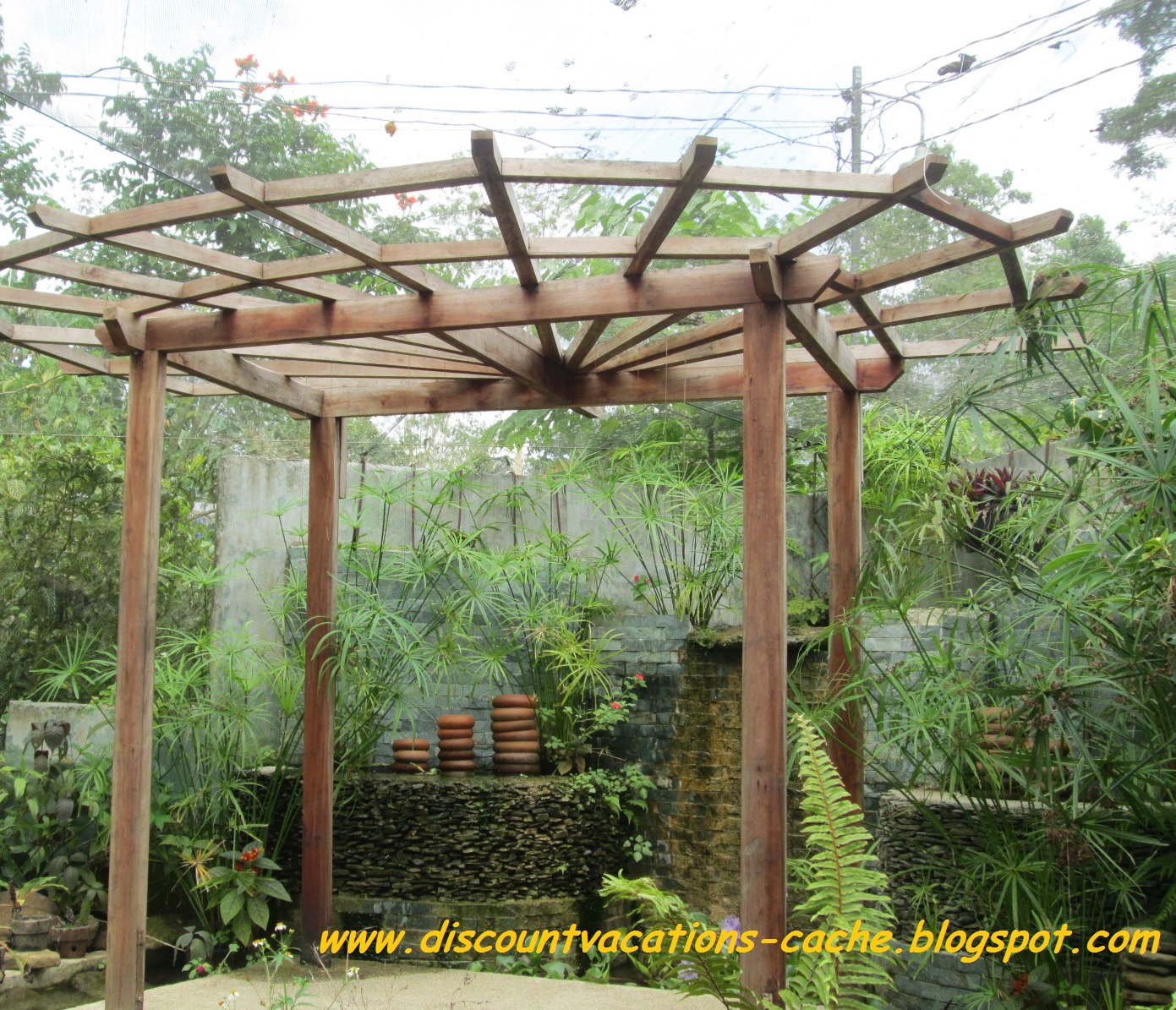 Discount Vacations Bohol Habitat Conservation Center Butterfly Sanctuary