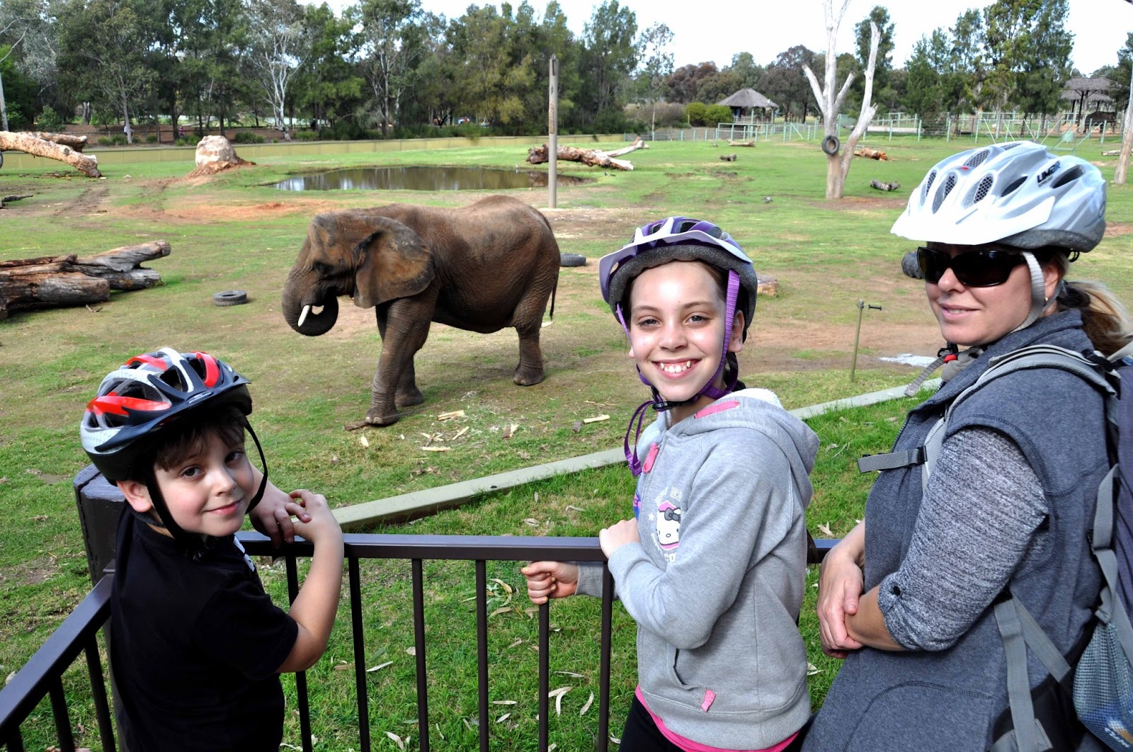 National Griffos Vacation Continues Dubbo