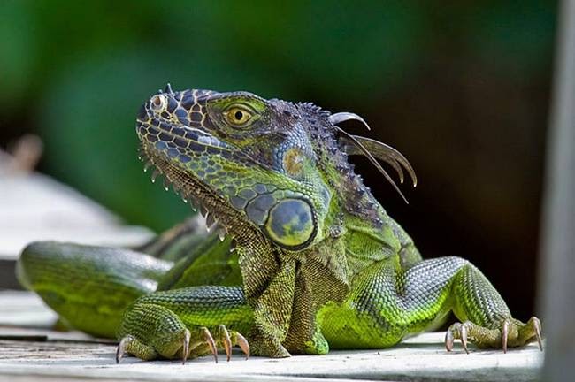 Download Free Wallpaper Nature+HD Wallpapers Of Nature