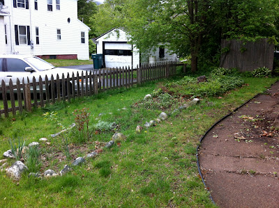 sheet mulching before