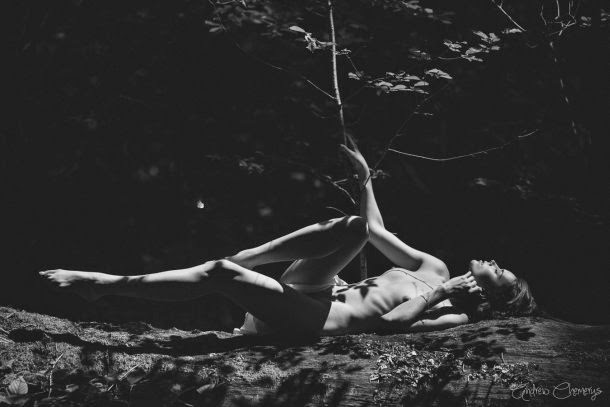 As sensuais e eróticas fotos artísticas de Andrew Chemerys Andrew Chemerys fotografia fashion mulheres modelos sensuais nuas fotos eróticas
