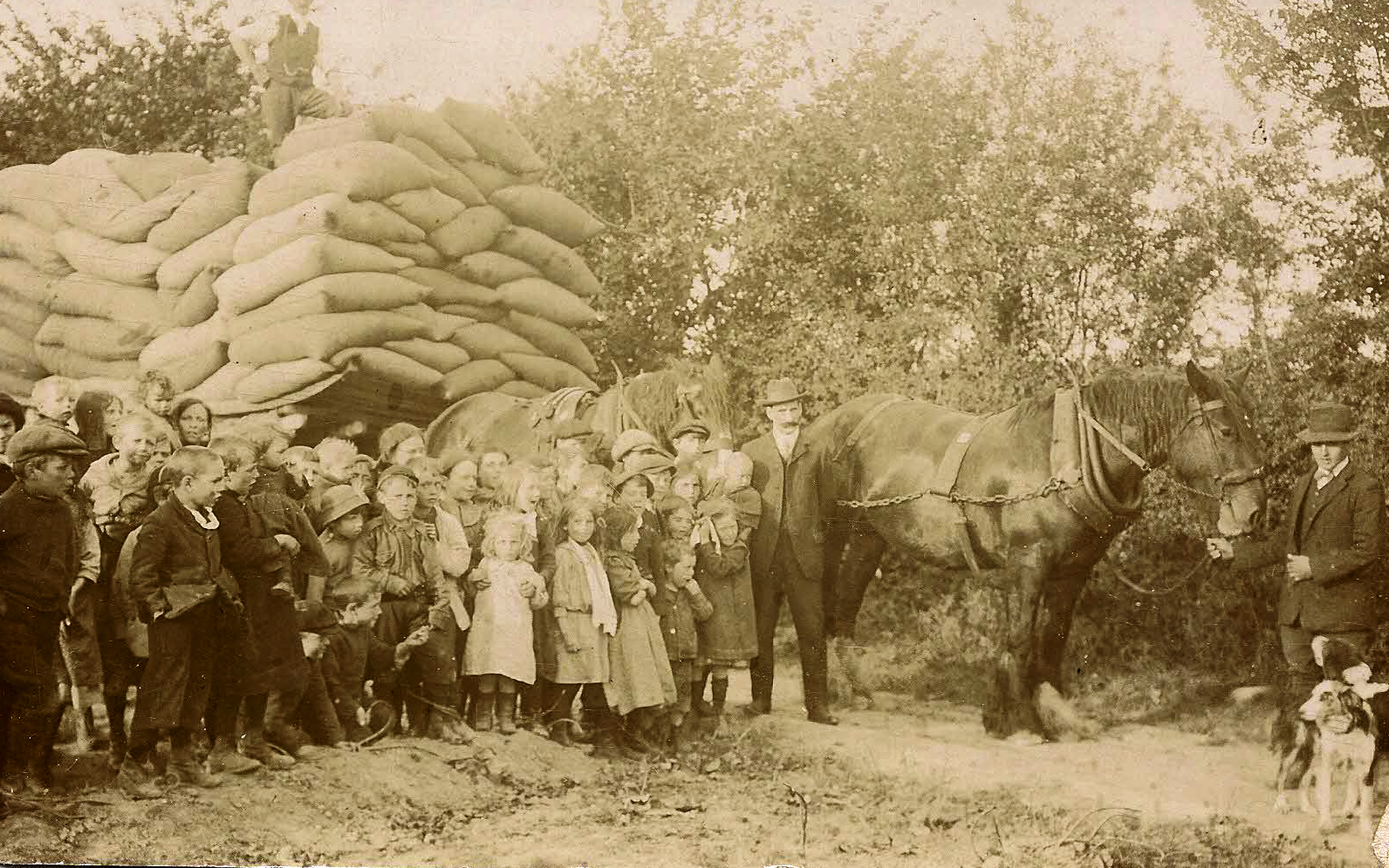 Excerpts from Leominster's History Leominster School life in 1900 and