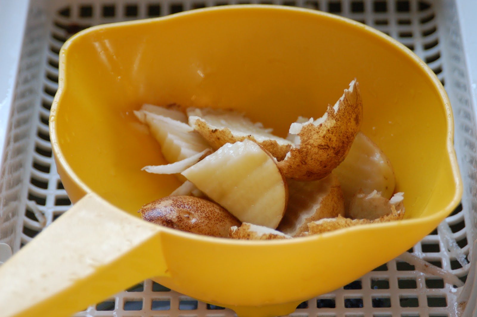 Dehydrating Way Beyond Jerky Hash Browns? WOW!