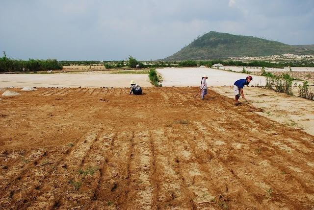 Người nông dân nơi đây tất vật làm đất cho vụ mùa mới 