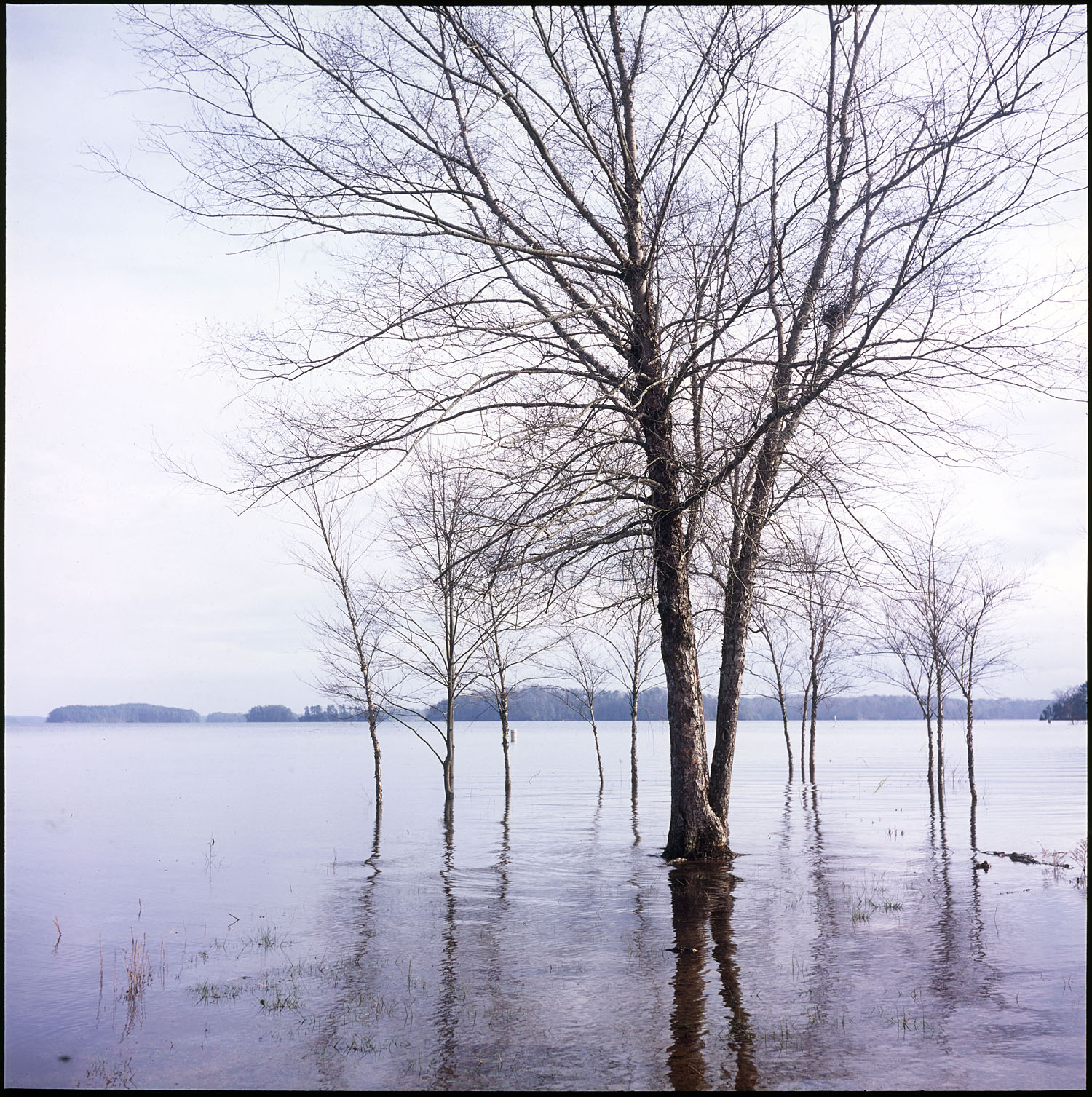 Valdosta in Film Lake Lanier / Chattahoochee Flooding, + Dahlonega