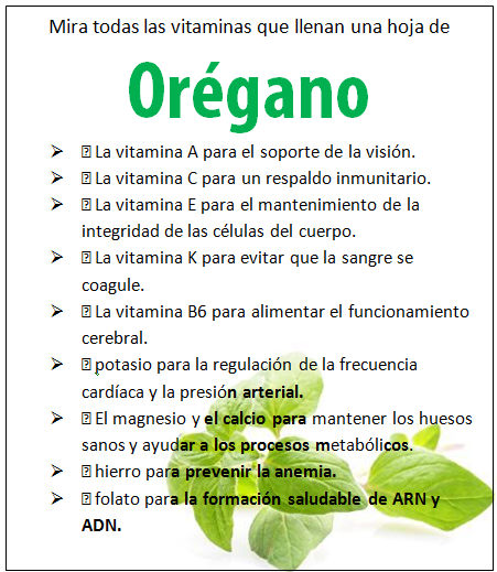 ALIMENTOS QUE PREVIENEN Y MEJORAN LA SALUD ALIMENTOS QUE PREVIENEN Y MEJORAN LA SALUD