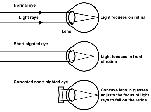 bohr diagrams