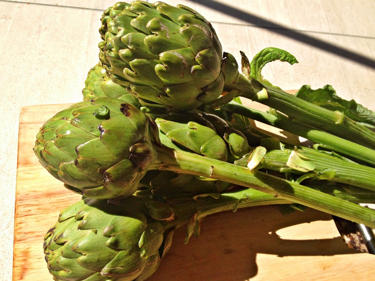 Ayse's World: Hafta sonu rehabilitasyonu