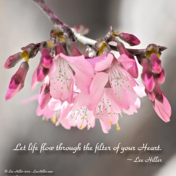 Heart Filter Thoroughly Positive