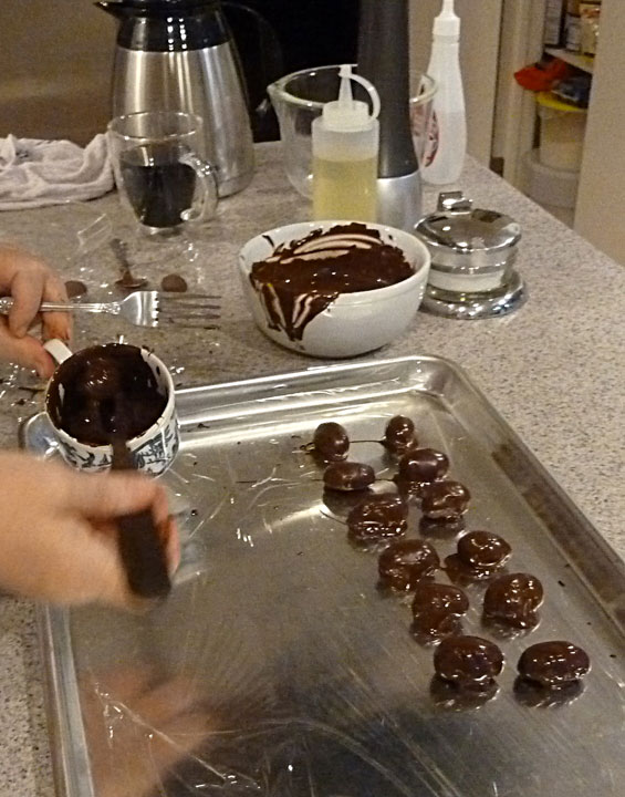 Fluffy Chix Cook Low Carb Sugar Free Chocolate Dipped Peanut Butter