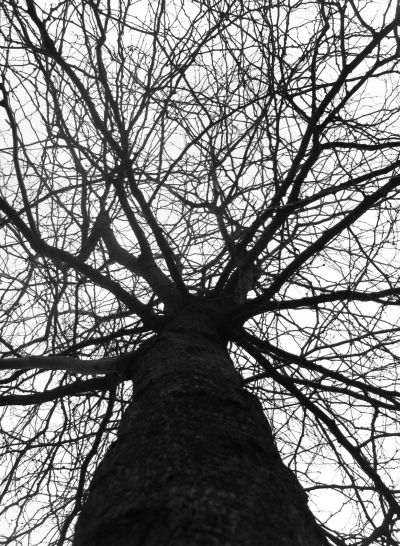 Unertragliche Leichtigkeit Des Seins 2009