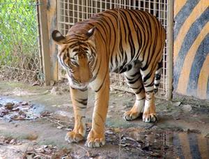 Zoo Melaka