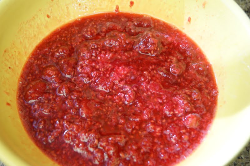 Canarella Once Upon a Jam Raspberry Jam and Raspberry Apricot Jam