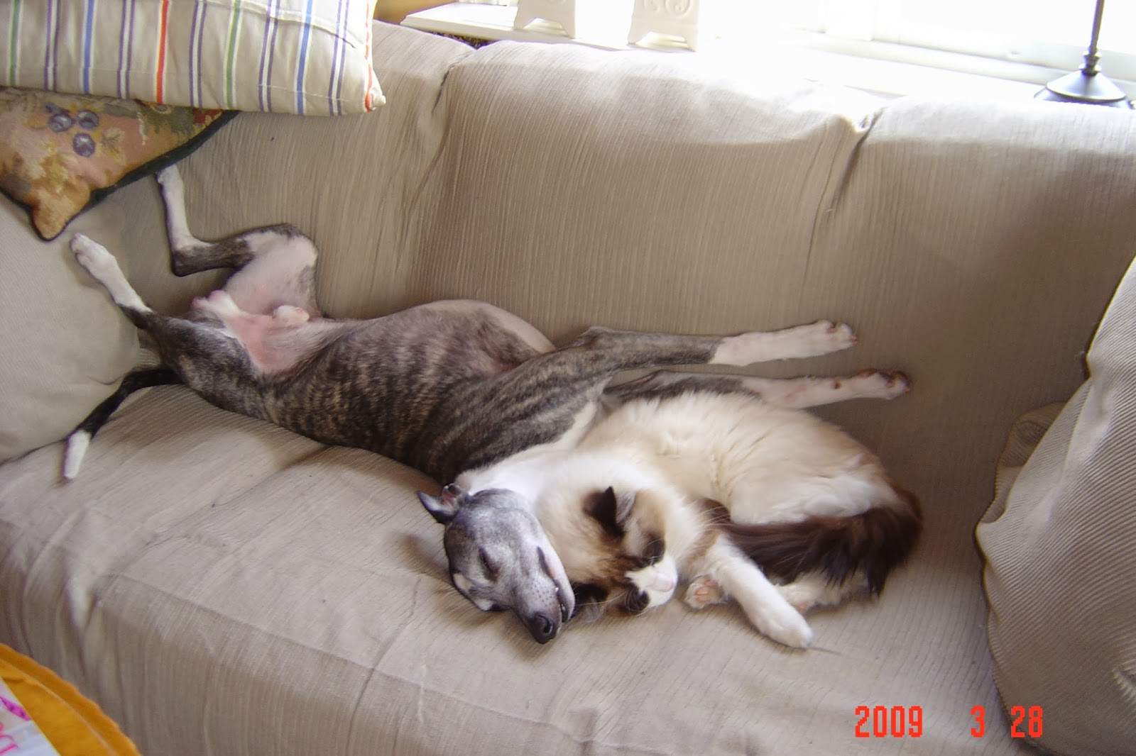 tv3 date med mig hur gick det sen