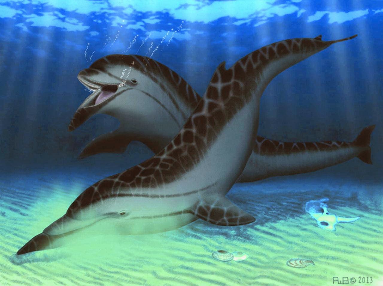 Species New To Science