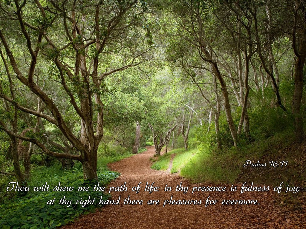 Psalm 16 8