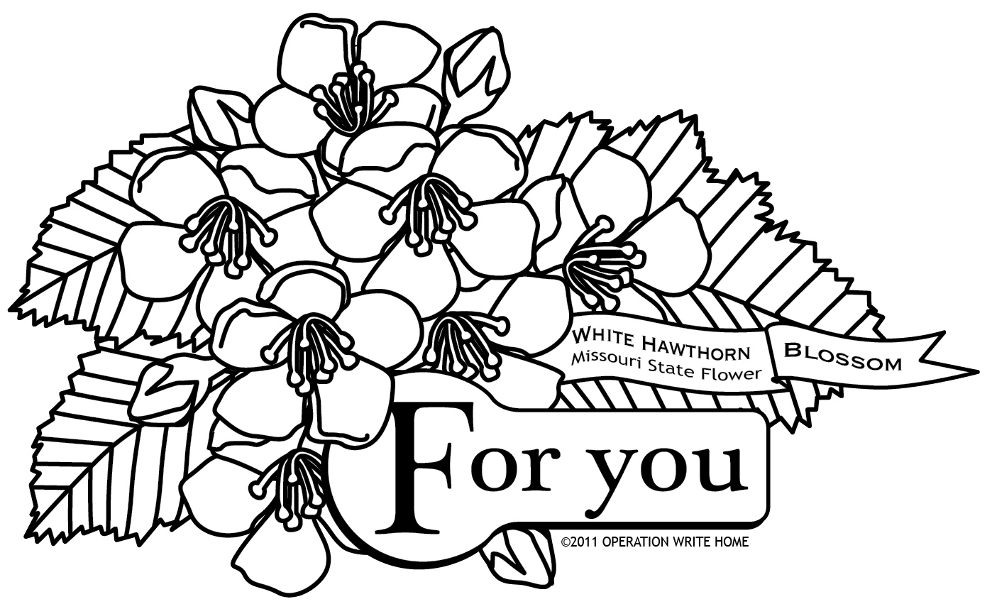 Tree Identification Crataegus Laevigata English Hawthorn