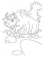Yak Coloring Pages | Kids coloring pages