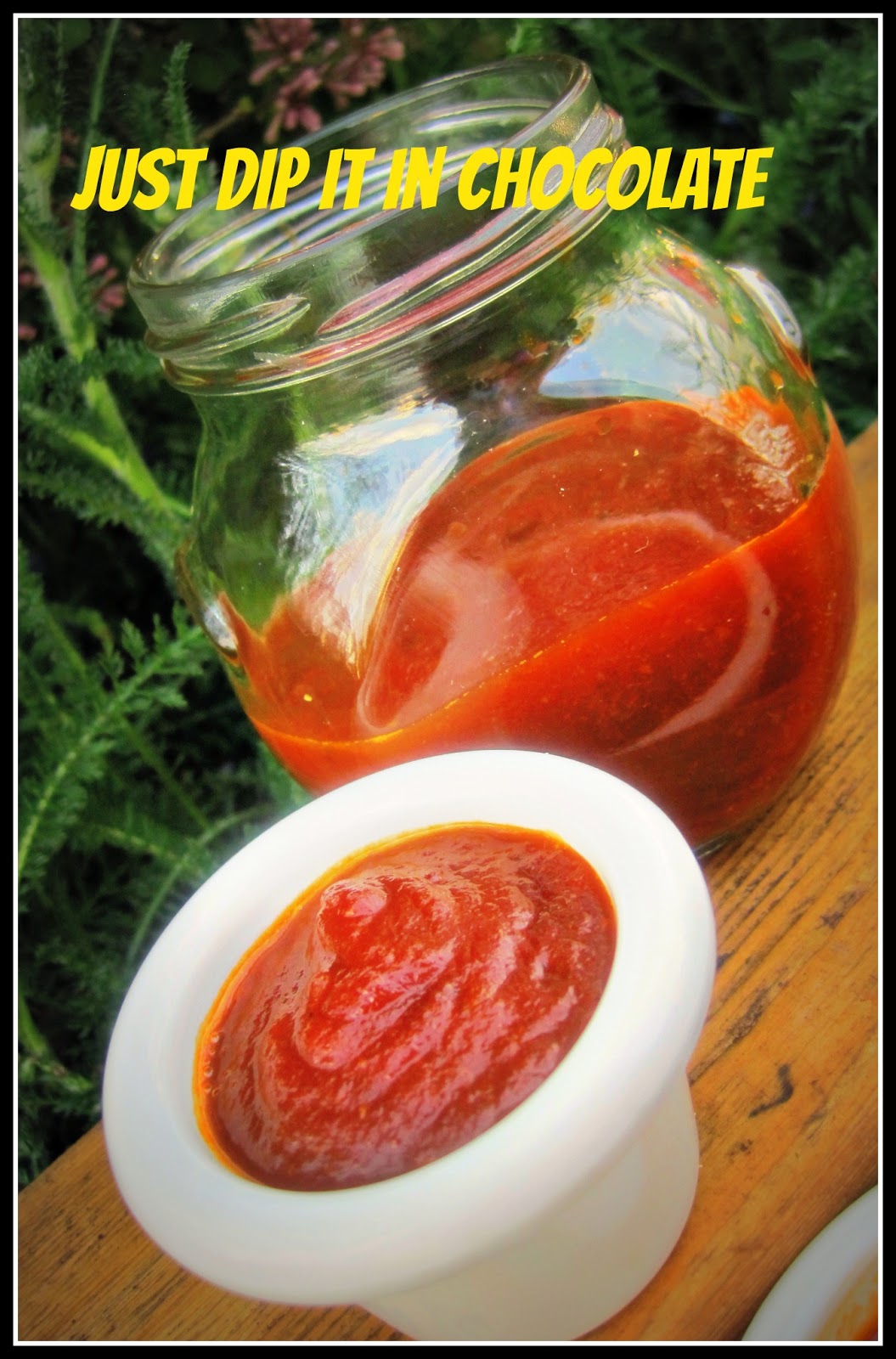 Just Dip It In Chocolate Beer and Ginger Barbecue Sauce Recipe