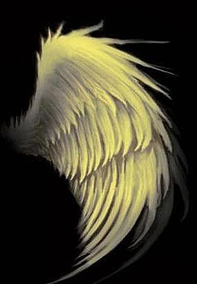 ARIE_HANDOKO: Jika Pria & Wanita Punya Sayap.?