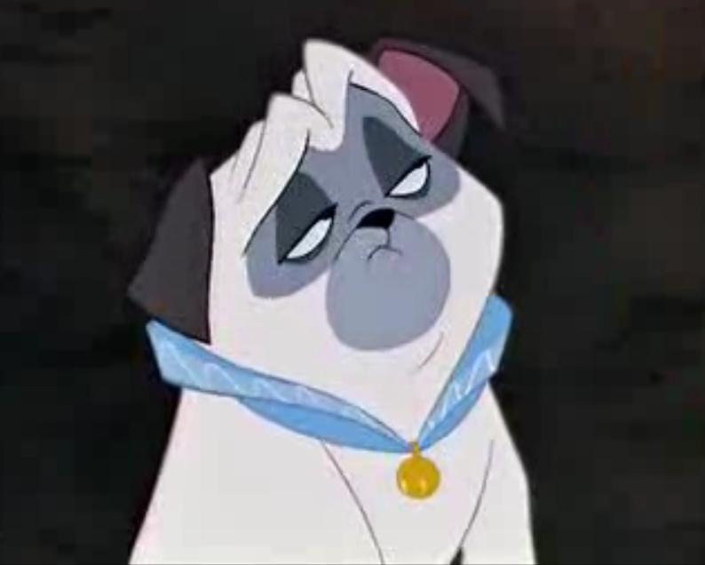 percy pug percy the pug and meeko the raccoon pocahantas pugs percy pug percy the pug and meeko the raccoon pocahantas pugs