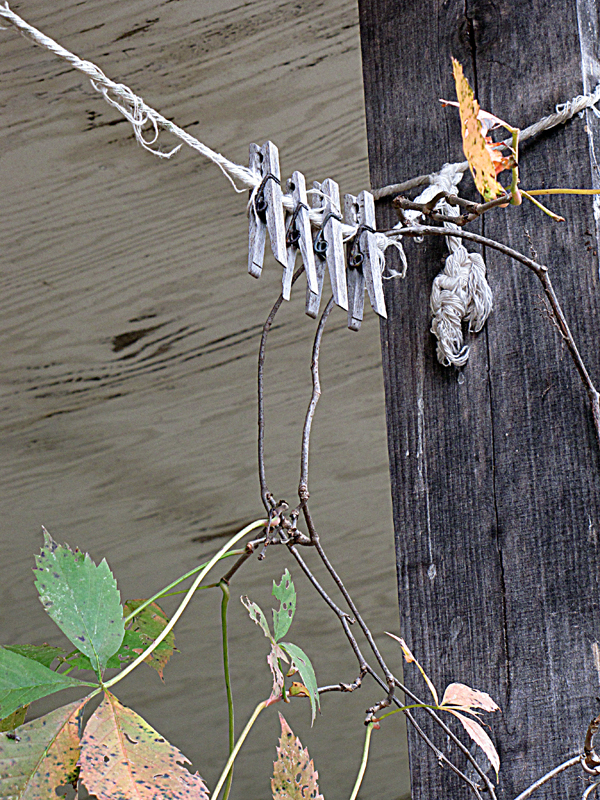 wabi sabi the japanese art of impermanence wabi sabi the japanese art of impermanence