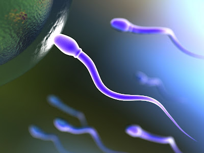 Gambar  Efek Negatif Sperma Untuk Ibu Hamil