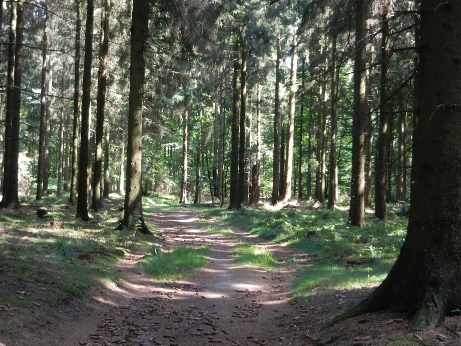 Hotel Dock Inn Hostel Warnemunde Fashion Whisper Bloglovin