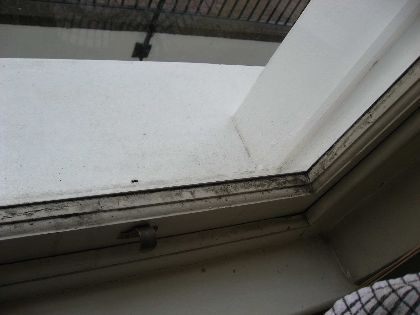 ICE Mould Removal Blob How to remove mould from sash window frames