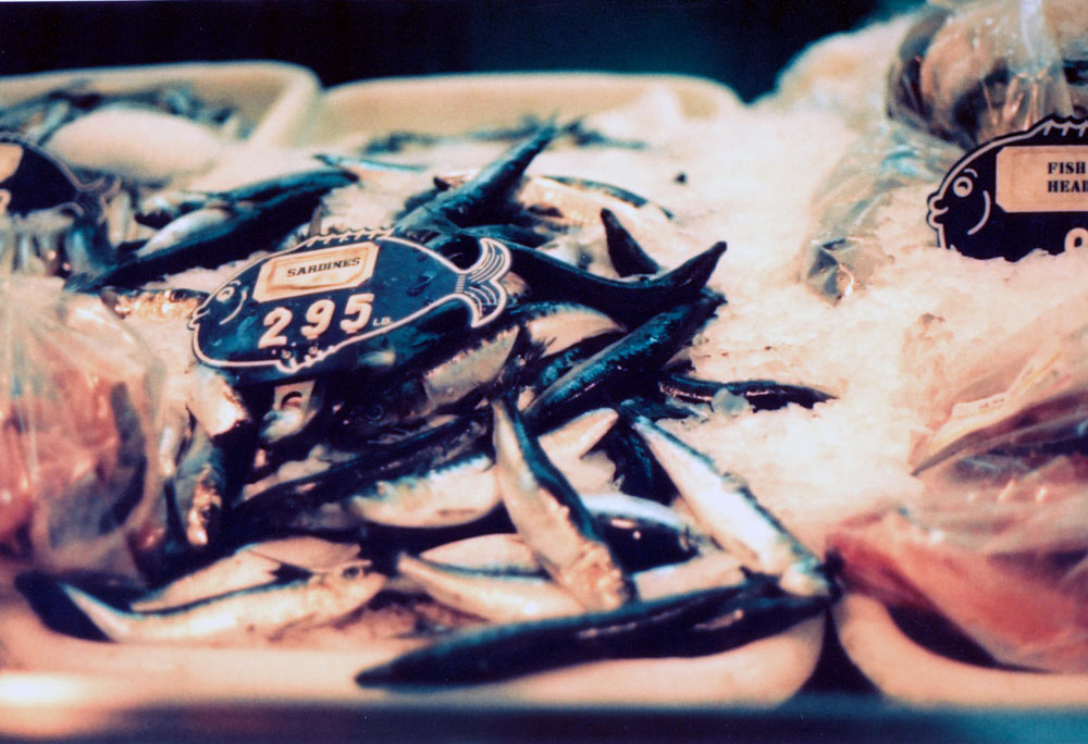 Paper Pastries Redondo Beach Pier