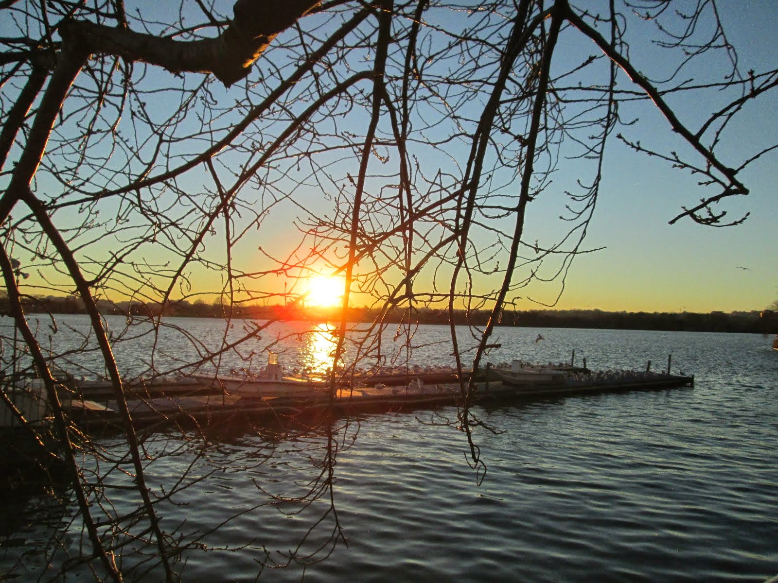 Sunset Beauty