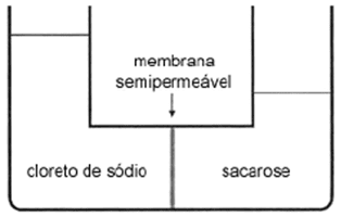 Propriedades Coligativas Nova+Imagem+%25287%2529