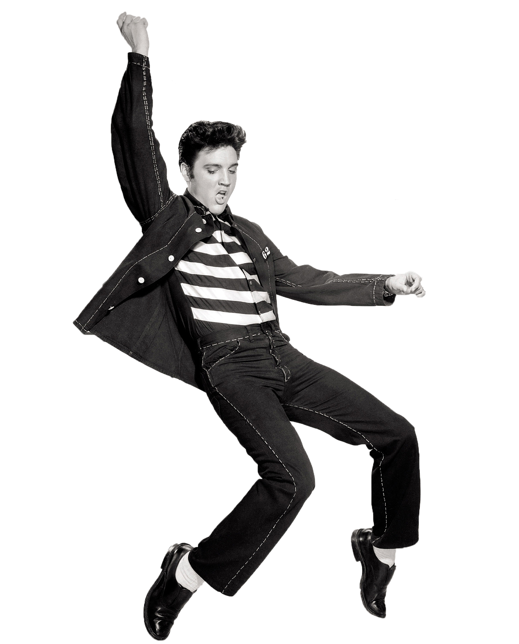 Elvis Presley Jailhouse Rock Elvis Presley Jailhouse Rock