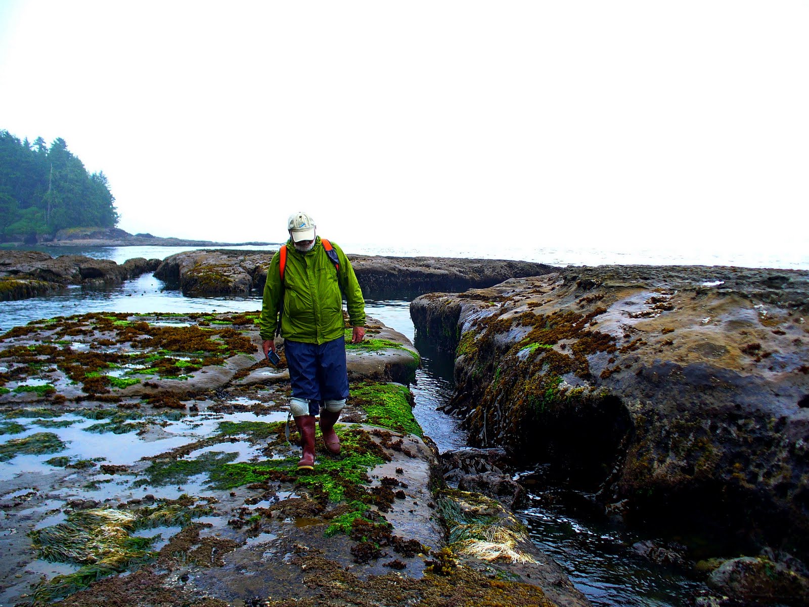 weird beach pictures