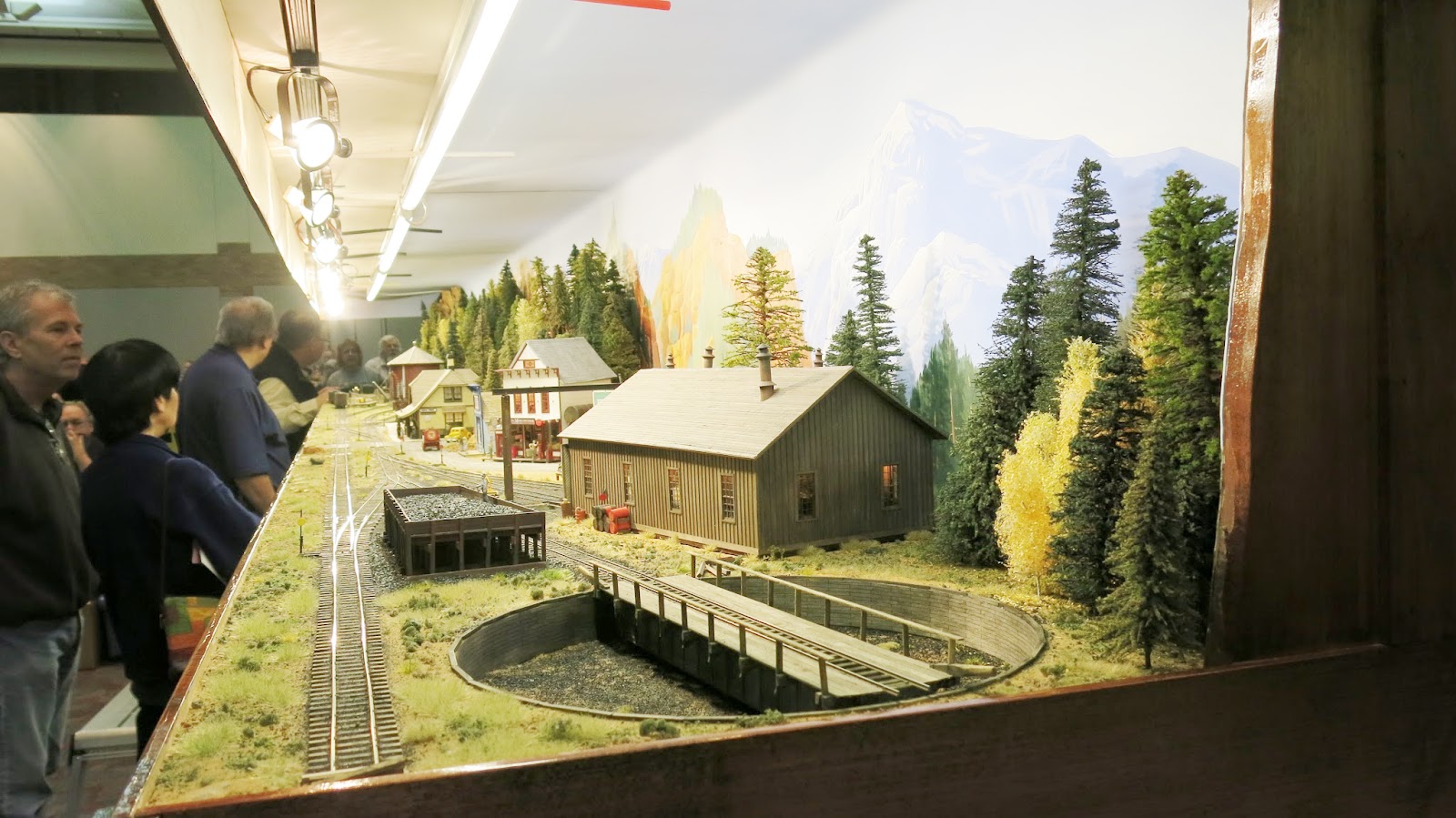 Geared Steam Dallas Area Train Show Jan 2015