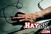 Chào buồng tội hiếp dâm: "Hành sự" với bọ cạp trong lỗ hổng Chào buồng tội hiếp dâm: "Hành sự" với bọ cạp trong lỗ hổng