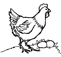 Line Drawing :: Clip Art :: Hen with Eggs