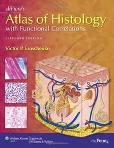 Tổng hợp Module Cardiovascular System y2010 & y2011 DiFiore%27s+Atlas+of+Histology+with+Functional+Correlations