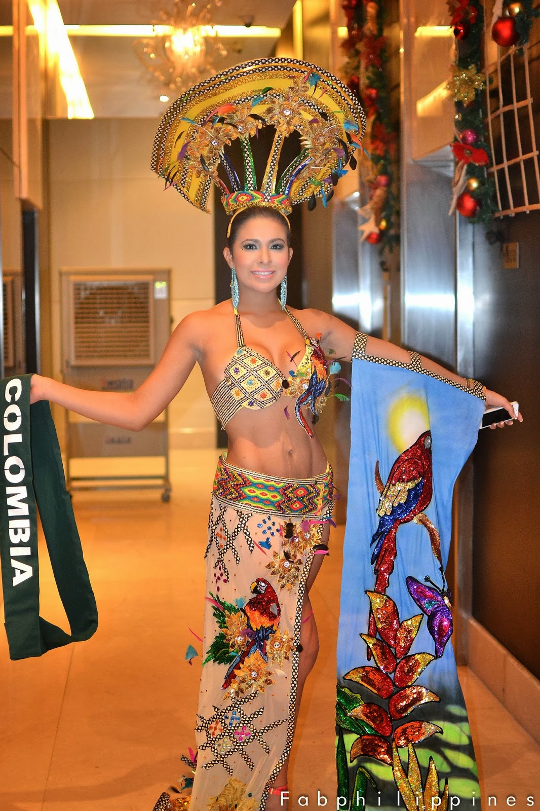 Miss Earth 2013 National Costume Winners Americas