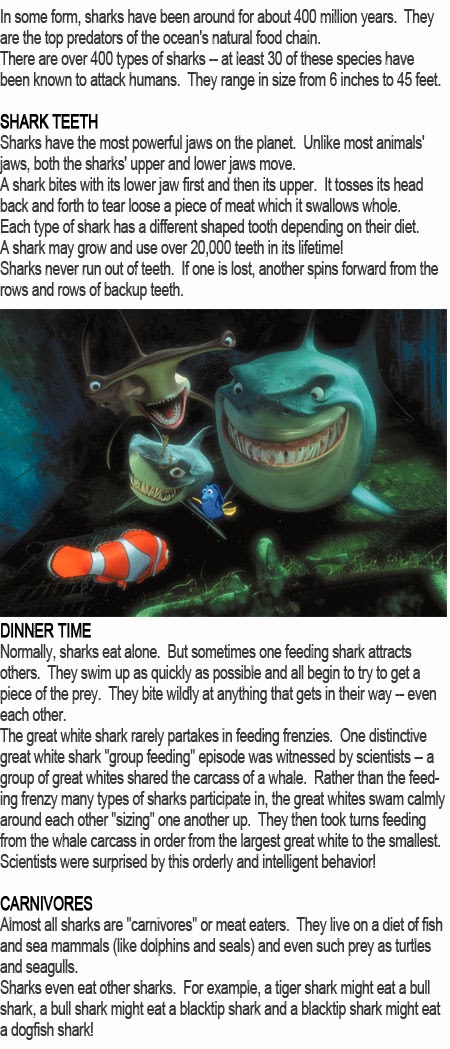 Shark facts for kids