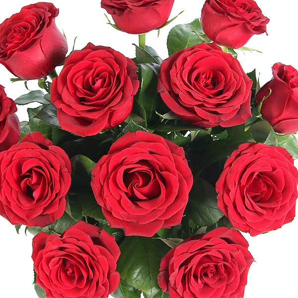 order flowers online uk A Dozen red roses giftwrap