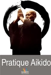 Pratique Aikido