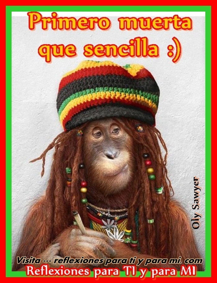 Reflexiones para TI y para MÍ * Primero muerta que sencilla )